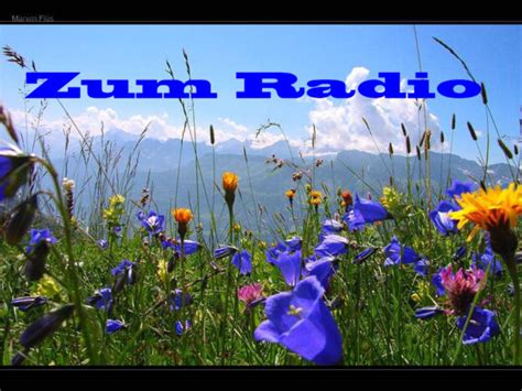 Info Traumradio Romantica