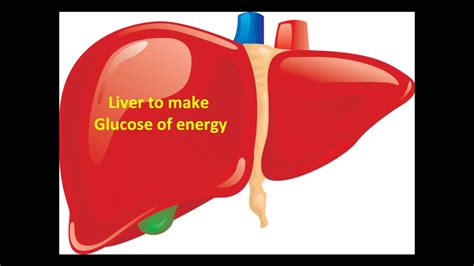 Pititary Adrenal System And Sympathomedullary Pathway As Psychology