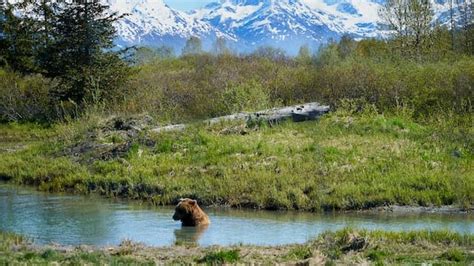 Bear Canyon Lake A Tapestry Of Natural Beauty Surrounding | Travel Pediya