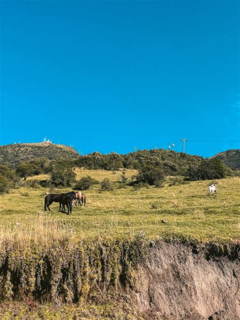 Rucu Pichincha Hike: The Best Hike in Quito