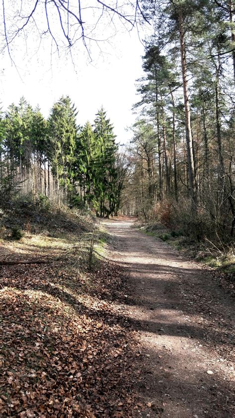 Wanderung Durch Den Naturpark Eggegebirge Und Den Teutoburger Wald