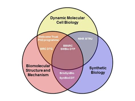 Research School Of Biochemistry University Of Bristol