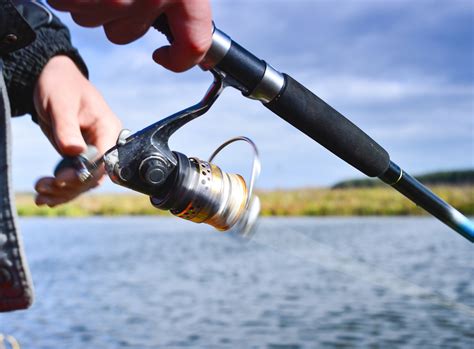 Best Braided Fishing Line For Spinning Reels: Our Top 7 Picks