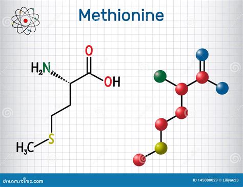 Methionine L Methionine Met M Essential Amino Acid Molecule Sheet