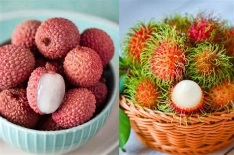 ¿lichi O Rambután Descubre Cómo Diferenciar Estos Frutos