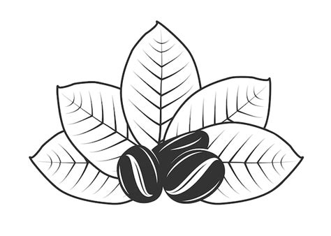 Premium Vector | Silhouette of coffee beans with leaves isolated on ...