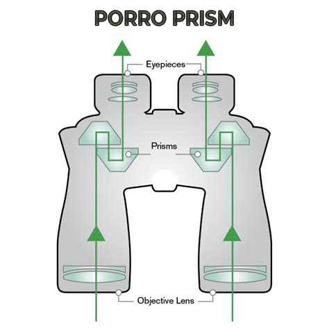 Different Types Of Binoculars Best For Specific Usage Hunting Lot