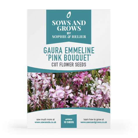 Gaura Emmeline 'Pink Bouquet' Cut Flower Seeds | Quality Seeds from Sow ...