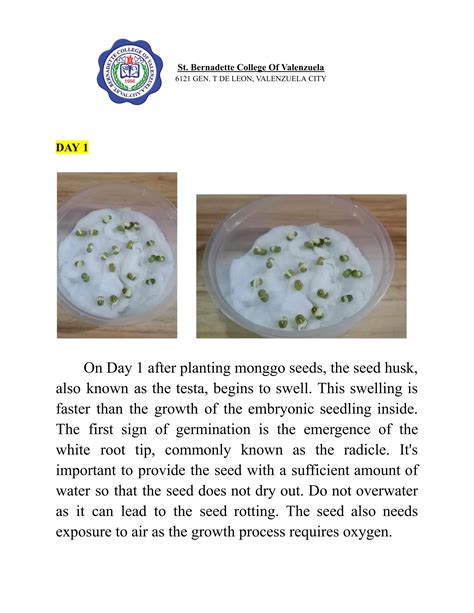 Monggo Seeds Experiment Day 1 to Day 7.pdf