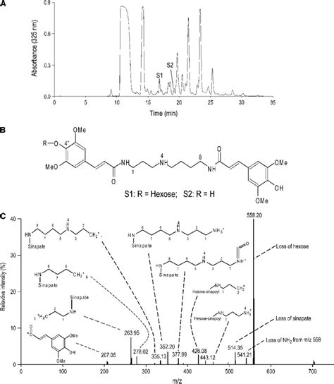 Identification Of Sinapoyl Spermidine Derivatives In Arabidopsis Seeds