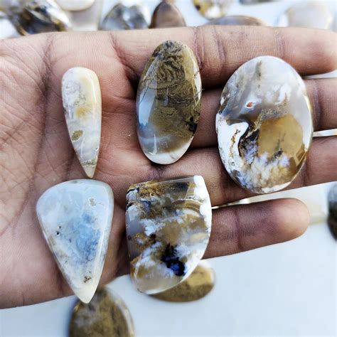 Tiger Dendrite Opal Natural Tiger Opal Cabochon Lot Etsy