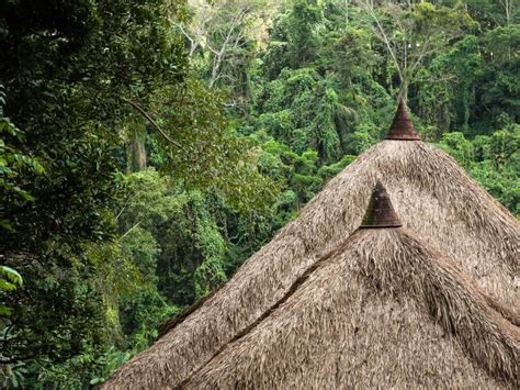 Bamboo Roofs Everything You Need To Know Pergolas Too Building Renewable