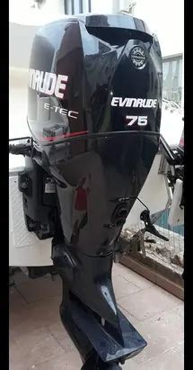 Motore Evinrude Fuoribordo Cv In Vendita In Motori In Tutta Italia