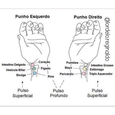 AcupunturArt ACUPUNTURA O PONTO CERTO