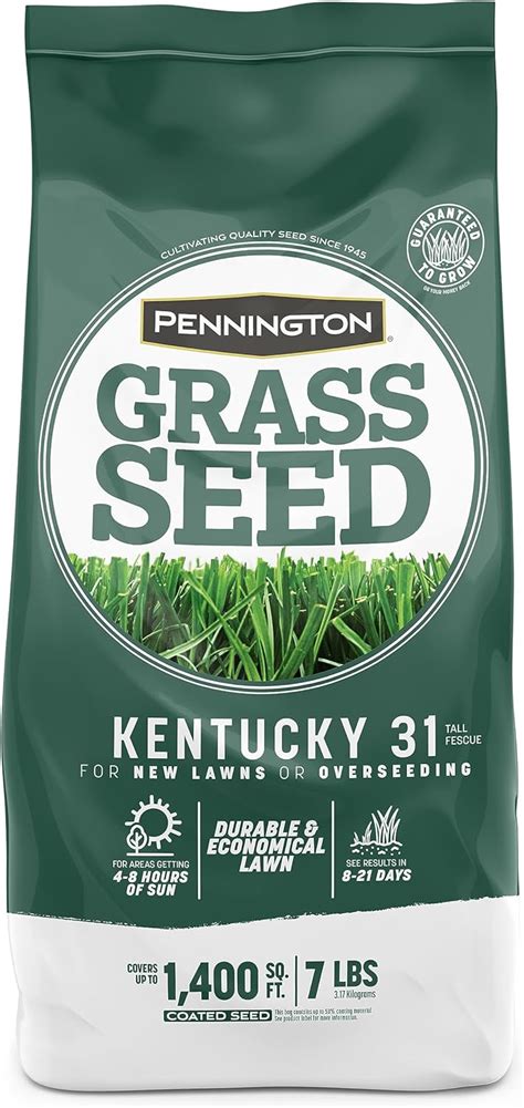 Amazon Pennington Kentucky Tall Fescue Penkoted Grass Seed