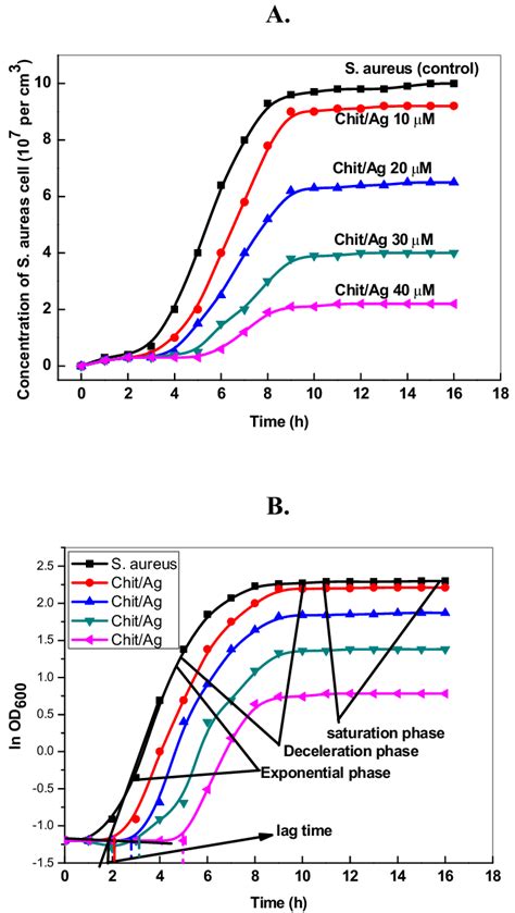 Typical Bacterial Kinetic Growth Plots Cell Concentration Versus Time