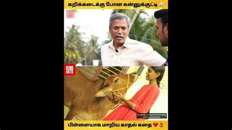 கறிக்கடைக்கு போன கன்னுக்குட்டி 🐮💔 பிள்ளையாக மாறிய காதல் கதை 🥰 ️ Youtube