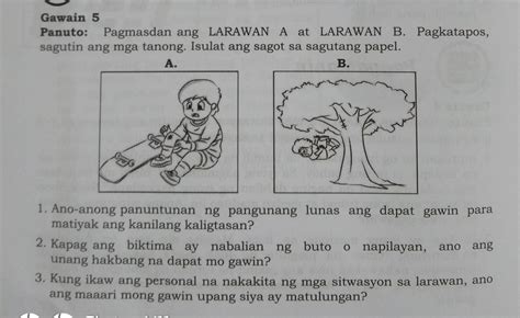 Gawain 5 Panuto Pagmasdan Ang Larawan A At Larawan B Pagkatapos