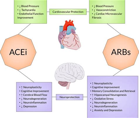 Main effects of angiotensin-converting enzyme inhibitors (ACEi) and ...