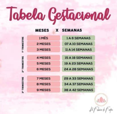 Tabela Gestacional O Guia Essencial Para Acompanhar Sua Gravidez