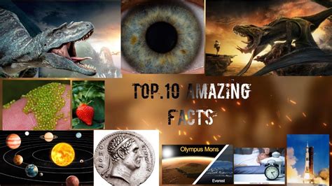 TOP 10 INTRESTING AND AMAZING FACTS మర ఆలచచర HAVE YOU THOUGHT