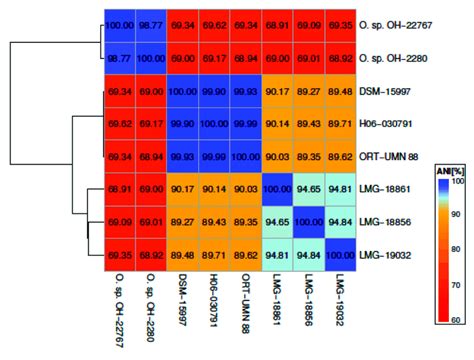 Heatmap Of Pairwise Average Nucleotide Identity Ani Between The