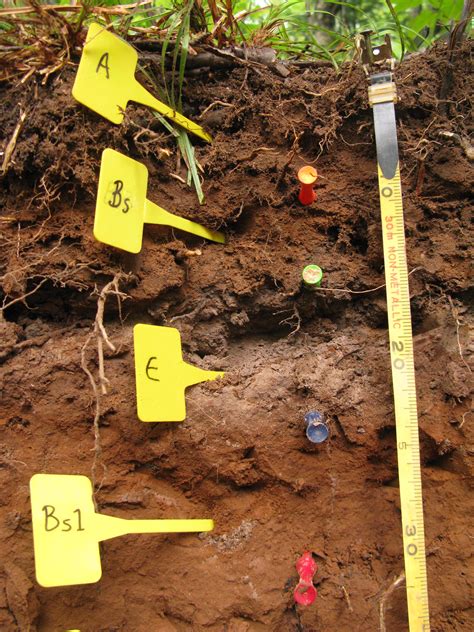 Digging Into Soil Organic Matter • News Service • Iowa State University