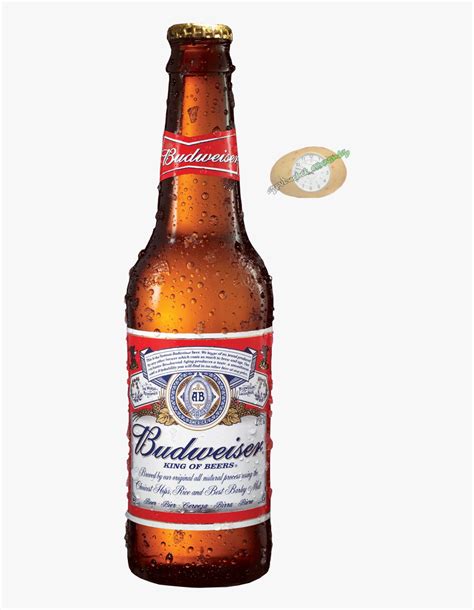 Beer Bottles Png Png Image Collection The Best Porn Website