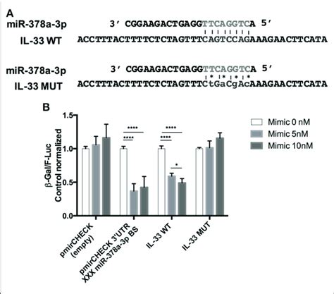 Identification Of Putative Mir 378a 3p Binding Site Within The Il 33