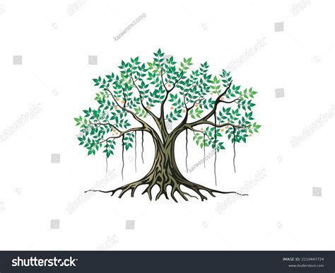 18,886 Banyan roots Images, Stock Photos & Vectors | Shutterstock