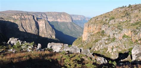 Angola Birding Tour with FIELD GUIDES: Endemics & near-endemics