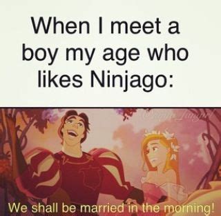 Pin By Elizabeth On Funny HA HA Stuff In 2024 Ninjago Memes