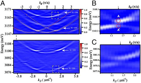 Dispersion Of Exciton Polaritons In Momentum Space Demonstrating