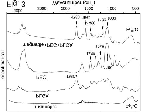 Ftir Spectra Of Magnetite Pure Plga Pure Peg And Plga Coated Mf Peg