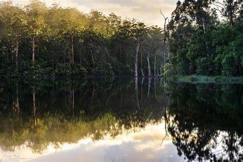 Southern Forests Photography Weekend Venture Photography Workshops