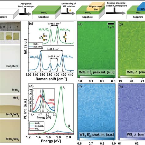 Preparation Of Large‐area Tmdc Layers And Heterostructures A Download Scientific Diagram