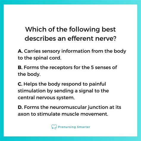 Understanding Efferent And Afferent Nerves