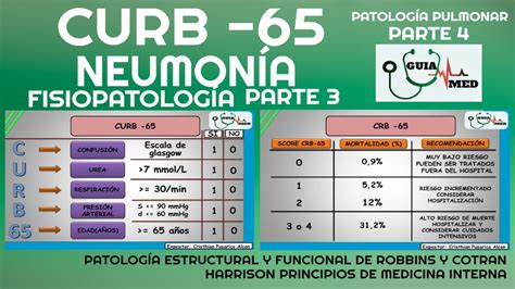 Neumon A Adquirida En La Comunidad Curb Fisiopatolog A Parte