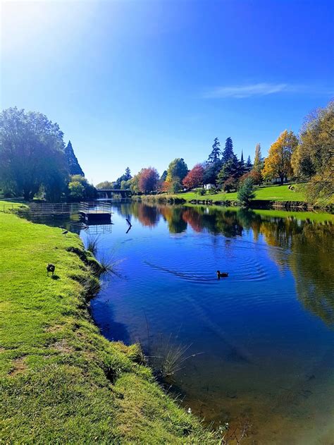 Deloraine Riverbank Reserve Deloraine Tas 7304 Australia