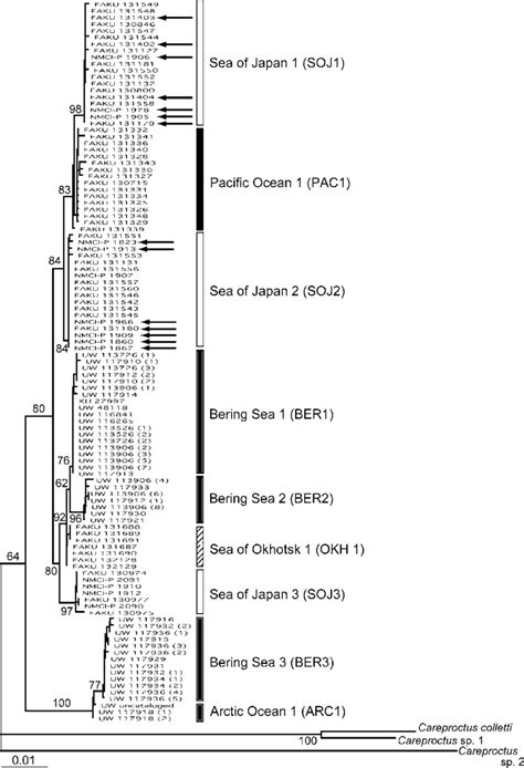 Neighbor Joining Nj Dendrogram Derived From The Hky C Model