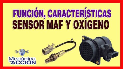 Función y característica del Sensor MAF y OXÍGENO YouTube