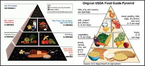 Big Grain And The Food Guide Pyramid