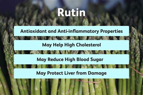 What Are the Common Uses of Rutin Supplements?