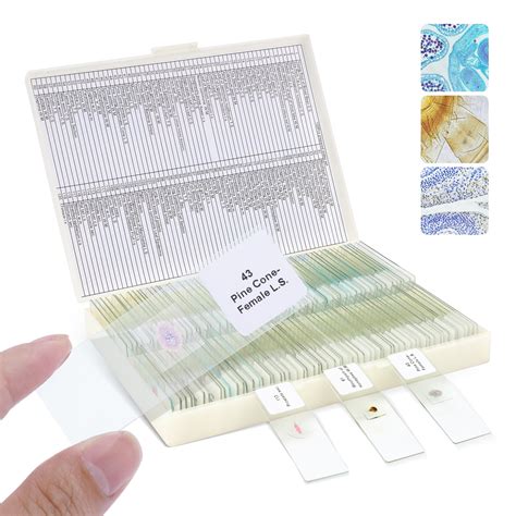 LAKWAR Microscope Slides, 120PCs Prepared Microscope Slides with ...