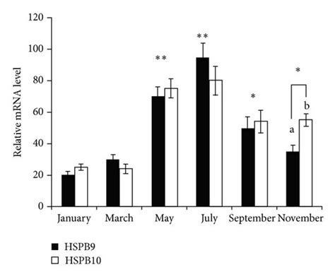 MRNA Expression Profile Of HSPB9 And HSPB10 In Different Seasons Of The