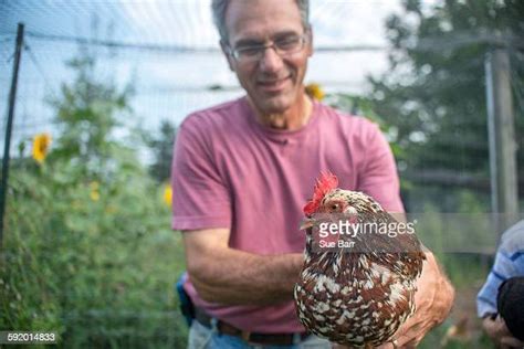 Smallholding Animals Photos and Premium High Res Pictures - Getty Images