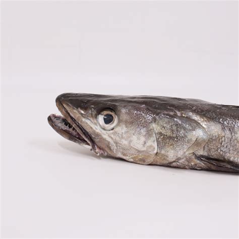 Buy Hake Online Fresh Oily Fish Home Delivery