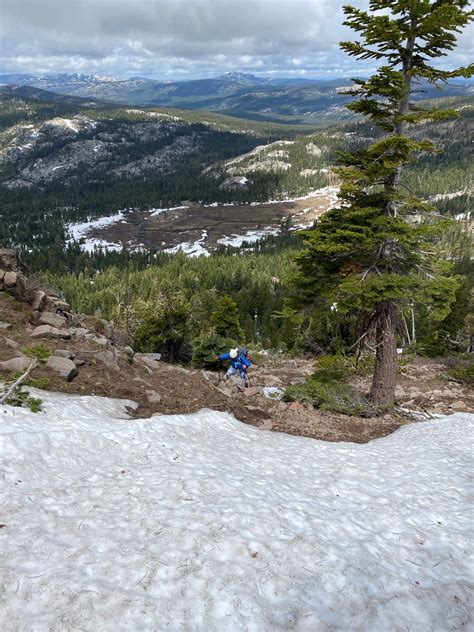 Castle Peak Trail - California | AllTrails