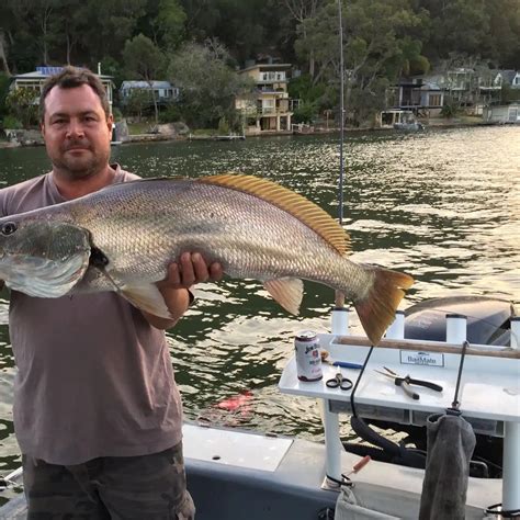 ᐅ Berowra Creek fishing reports🎣• New South Wales, Australia fishing