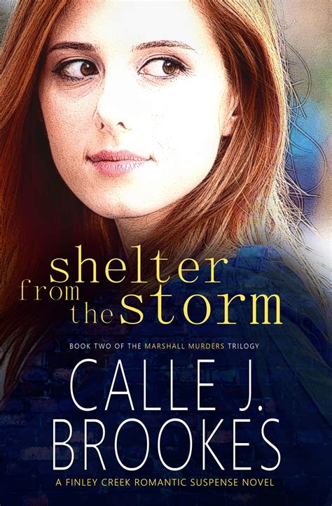 Shelter from the Storm eBook by Calle J. Brookes - EPUB | Rakuten Kobo ...